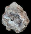 Crystal Filled Dugway Geode (Polished Half) #38865-2